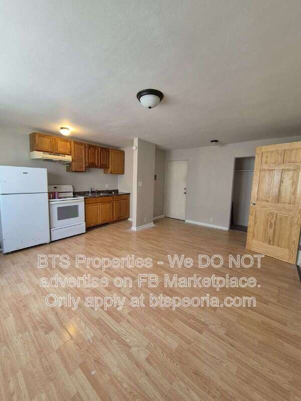 Charming 1-Bedroom Haven in Canton - Cozy 500 sq ft Living at 119 Vanburen Court! property image